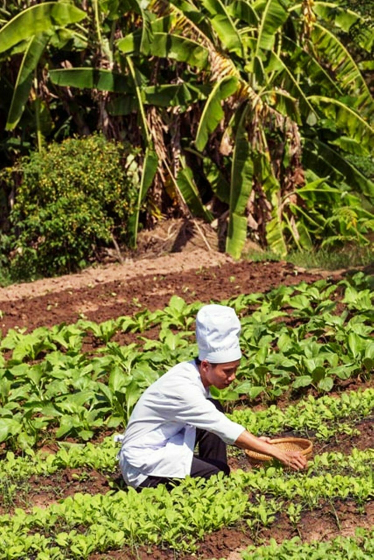 Mekong Riverside Boutique Resort & Spa Cai Be Bagian luar foto