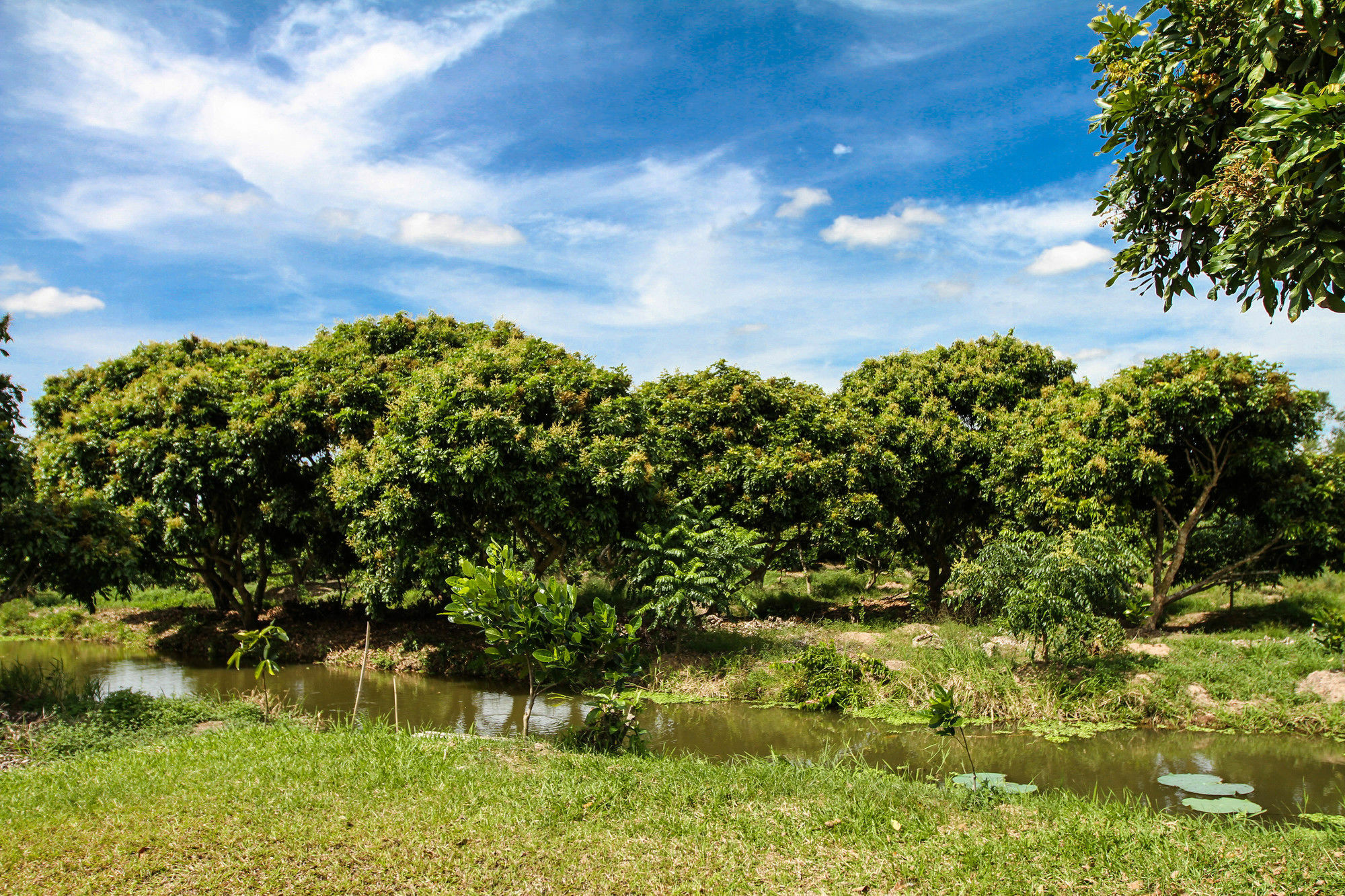Mekong Riverside Boutique Resort & Spa Cai Be Bagian luar foto